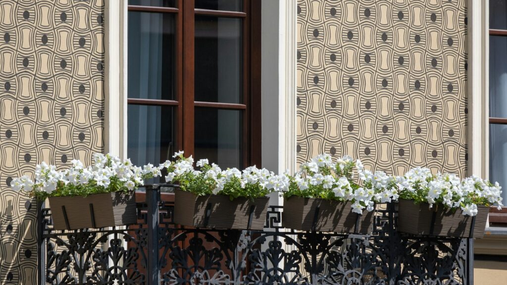 Balcon au nord ou plein sud : choisir ses plantes selon l'exposition